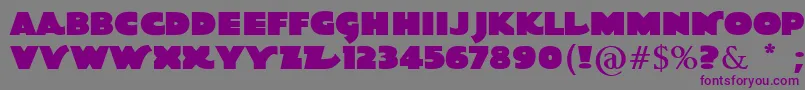 QuotaBold Font – Purple Fonts on Gray Background