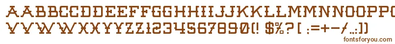 RawDenimAudacity Font – Brown Fonts on White Background