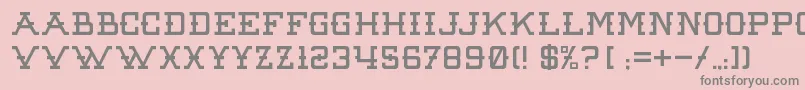 RawDenimAudacity Font – Gray Fonts on Pink Background