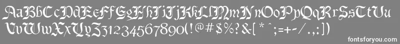 フォントBenecryptineRegular – 灰色の背景に白い文字
