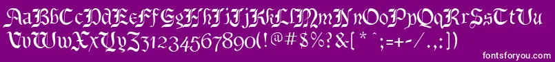 フォントBenecryptineRegular – 紫の背景に白い文字