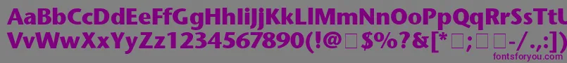 フォントStoneSansBold – 紫色のフォント、灰色の背景