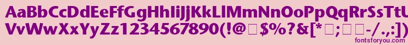 StoneSansBold Font – Purple Fonts on Pink Background