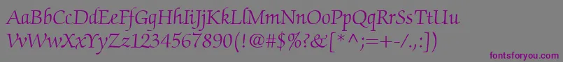 ChanceryScriptLightSsiLight Font – Purple Fonts on Gray Background
