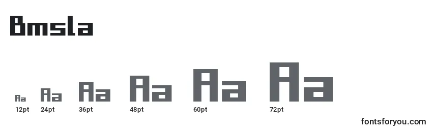 Bmsla Font Sizes