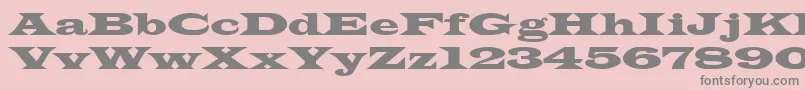 TransverseSsiNormal Font – Gray Fonts on Pink Background