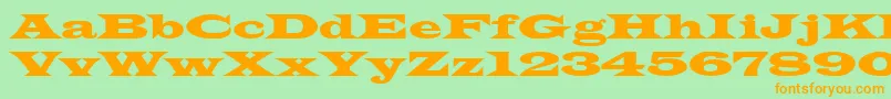 TransverseSsiNormal Font – Orange Fonts on Green Background