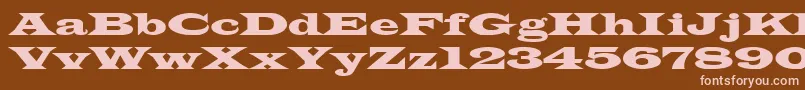 TransverseSsiNormal Font – Pink Fonts on Brown Background