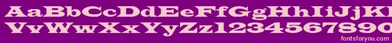 TransverseSsiNormal Font – Pink Fonts on Purple Background