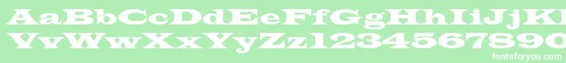 TransverseSsiNormal Font – White Fonts on Green Background