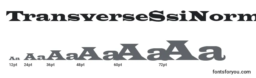 TransverseSsiNormal Font Sizes