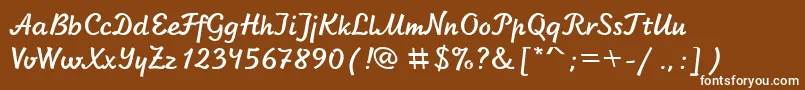 SanasoftLetter.Kz Font – White Fonts on Brown Background