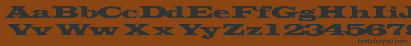 Transverseexpandedssk Font – Black Fonts on Brown Background