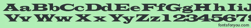 Czcionka Transverseexpandedssk – czarne czcionki na zielonym tle