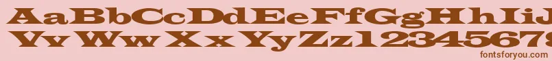 Transverseexpandedssk Font – Brown Fonts on Pink Background