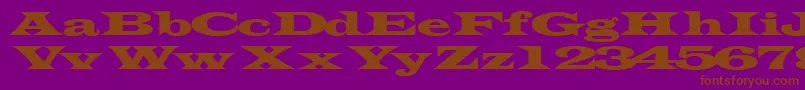 フォントTransverseexpandedssk – 紫色の背景に茶色のフォント