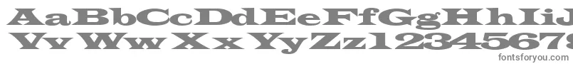 Transverseexpandedssk Font – Gray Fonts