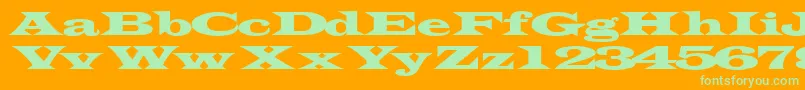 Transverseexpandedssk-Schriftart – Grüne Schriften auf orangefarbenem Hintergrund