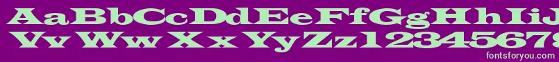 フォントTransverseexpandedssk – 紫の背景に緑のフォント