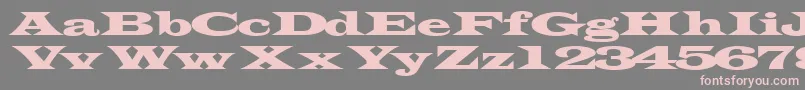 Transverseexpandedssk-Schriftart – Rosa Schriften auf grauem Hintergrund