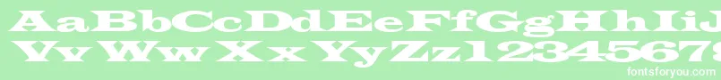 Transverseexpandedssk Font – White Fonts on Green Background