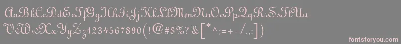 フォントVisitationRights2 – 灰色の背景にピンクのフォント
