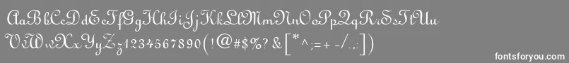 フォントVisitationRights2 – 灰色の背景に白い文字