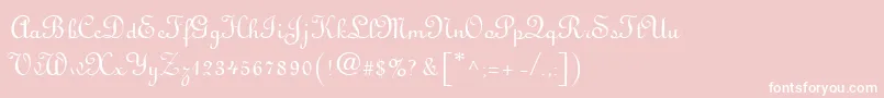 VisitationRights2 Font – White Fonts on Pink Background