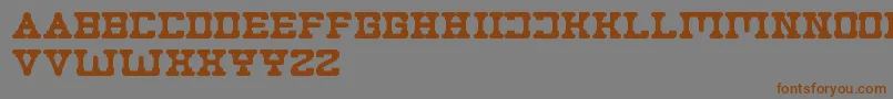 Plumbing Font – Brown Fonts on Gray Background