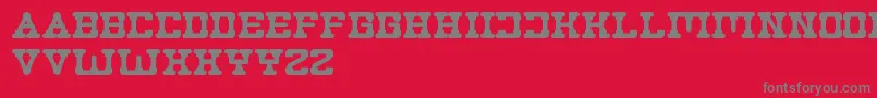 Plumbing Font – Gray Fonts on Red Background