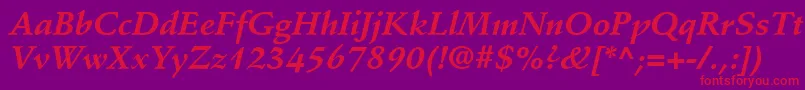 StempelSchneidlerLtBoldItalic Font – Red Fonts on Purple Background