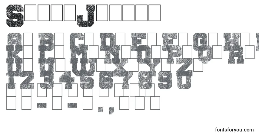 Шрифт SnakeJacket – алфавит, цифры, специальные символы