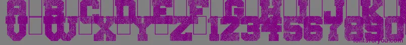 fuente SnakeJacket – Fuentes Moradas Sobre Fondo Gris