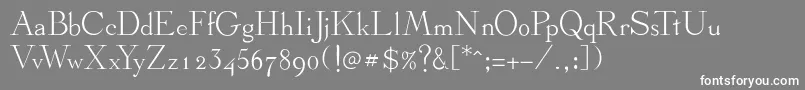 フォントStickee – 灰色の背景に白い文字