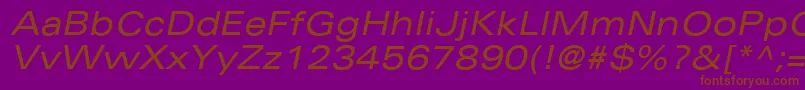 UniversLt53ExtendedOblique Font – Brown Fonts on Purple Background