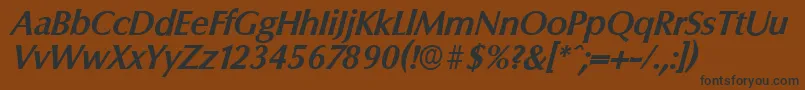 ColumbiaserialBolditalic Font – Black Fonts on Brown Background