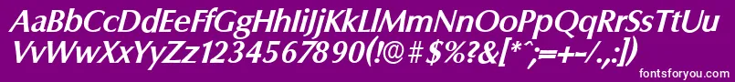 ColumbiaserialBolditalic Font – White Fonts on Purple Background