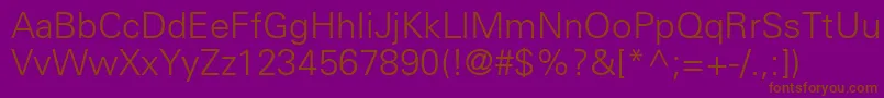 NovaLightSsiLight Font – Brown Fonts on Purple Background