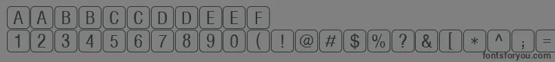 RrkeylettersNormal Font – Black Fonts on Gray Background