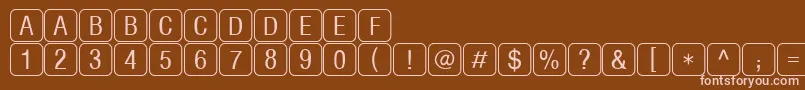RrkeylettersNormal Font – Pink Fonts on Brown Background