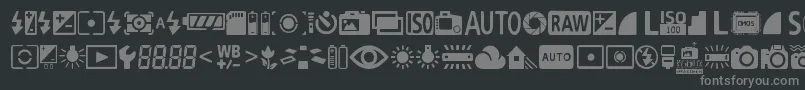 DigitalCameraSymbols Font – Gray Fonts on Black Background