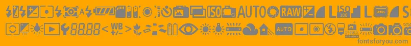DigitalCameraSymbols-Schriftart – Graue Schriften auf orangefarbenem Hintergrund