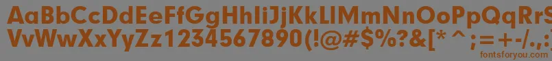 Geometric706BlackBt Font – Brown Fonts on Gray Background