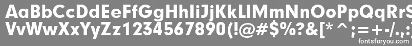 Geometric706BlackBt-Schriftart – Weiße Schriften auf grauem Hintergrund