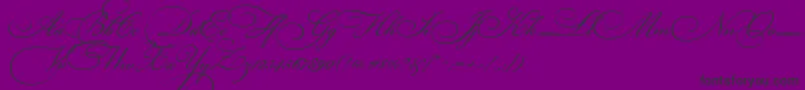 BickhamScriptThree-Schriftart – Schwarze Schriften auf violettem Hintergrund