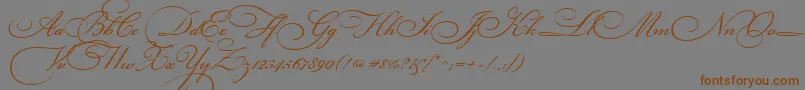 BickhamScriptThree Font – Brown Fonts on Gray Background