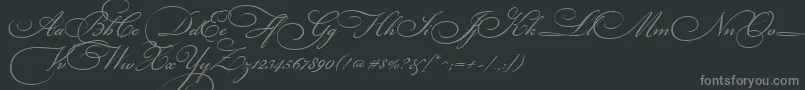 BickhamScriptThree Font – Gray Fonts on Black Background
