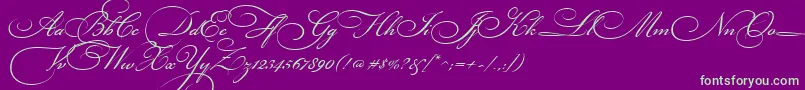 BickhamScriptThree-Schriftart – Grüne Schriften auf violettem Hintergrund