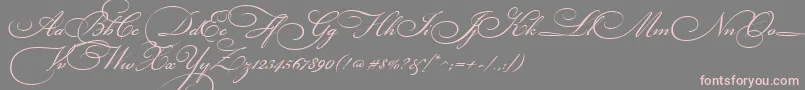 BickhamScriptThree Font – Pink Fonts on Gray Background