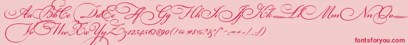BickhamScriptThree-Schriftart – Rote Schriften auf rosa Hintergrund